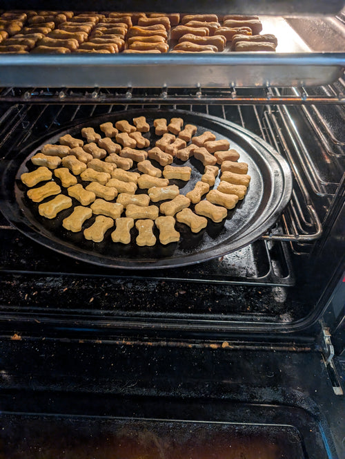 Homemade all natural peanut butter dog treats medium, Great for the dog's digestive system