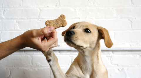 Medium all natural peanut butter dog treats beef 12 oz